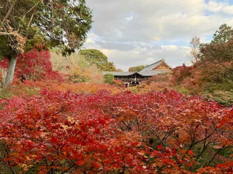 Voyager au Japon à l’automne 2026