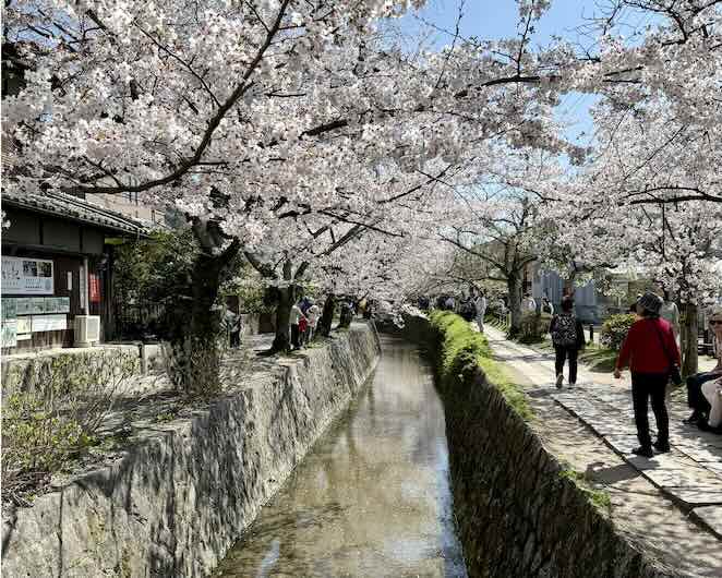 Discuter avec des natifs japonais depuis la France