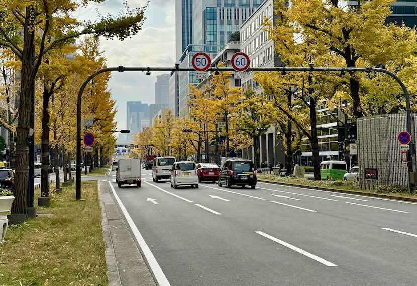 Tout ce qu’il faut savoir pour conduire en sécurité au Japon